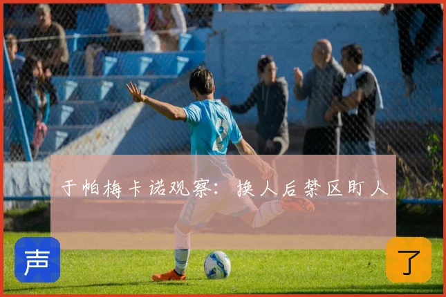 于帕梅卡诺观察:换人后禁区盯人